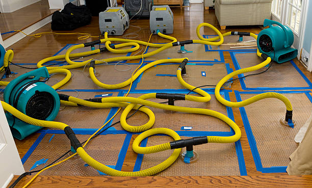 Professional Sewage Cleanup technician working in Wheatland, CA
